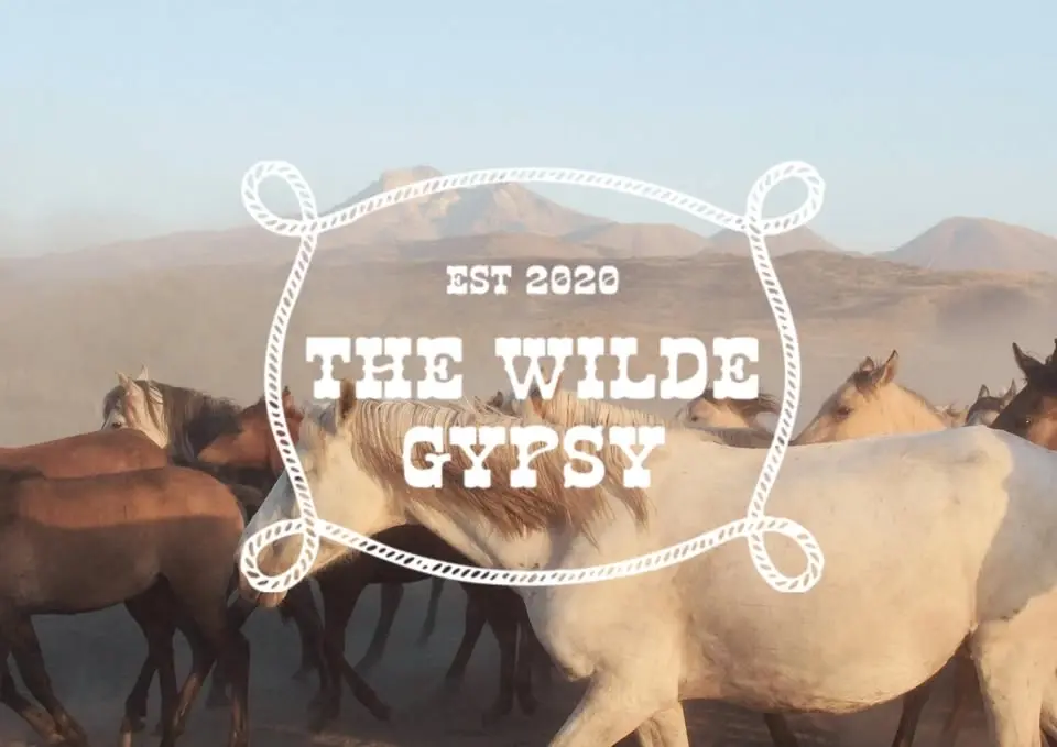 🤠 The Wilde Gypse Hat Bar Returns for Full Throttle Ranch's 1st Birthday🎉🚨