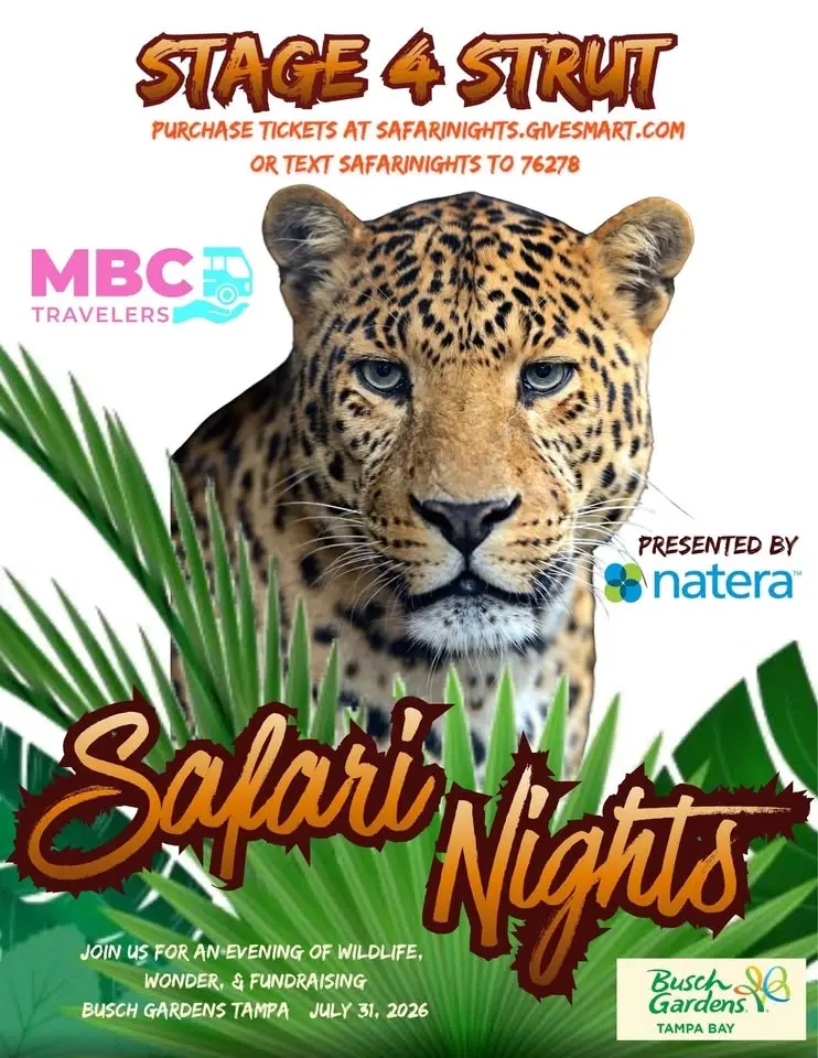 Stage 1V Strut - Safari Nights Gala 