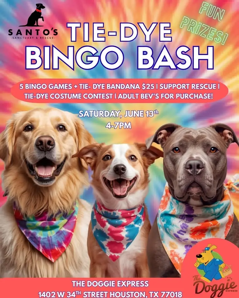 Tie-Dye Bingo Bash