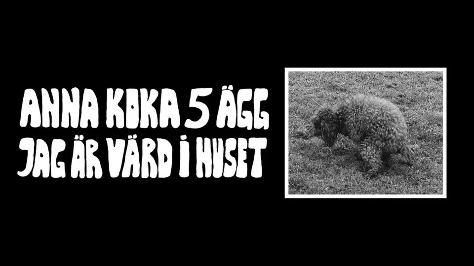 ANNA KOKA 5 ÄGG JAG ÄR VÄRD I HUSET LP SIGNING