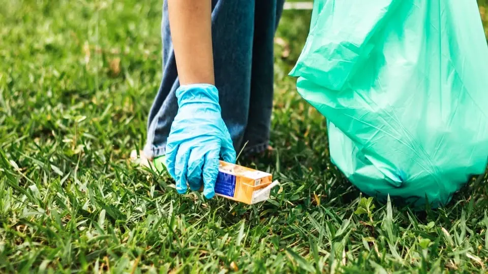 Bridge Street Neck Neighborhood Cleanup