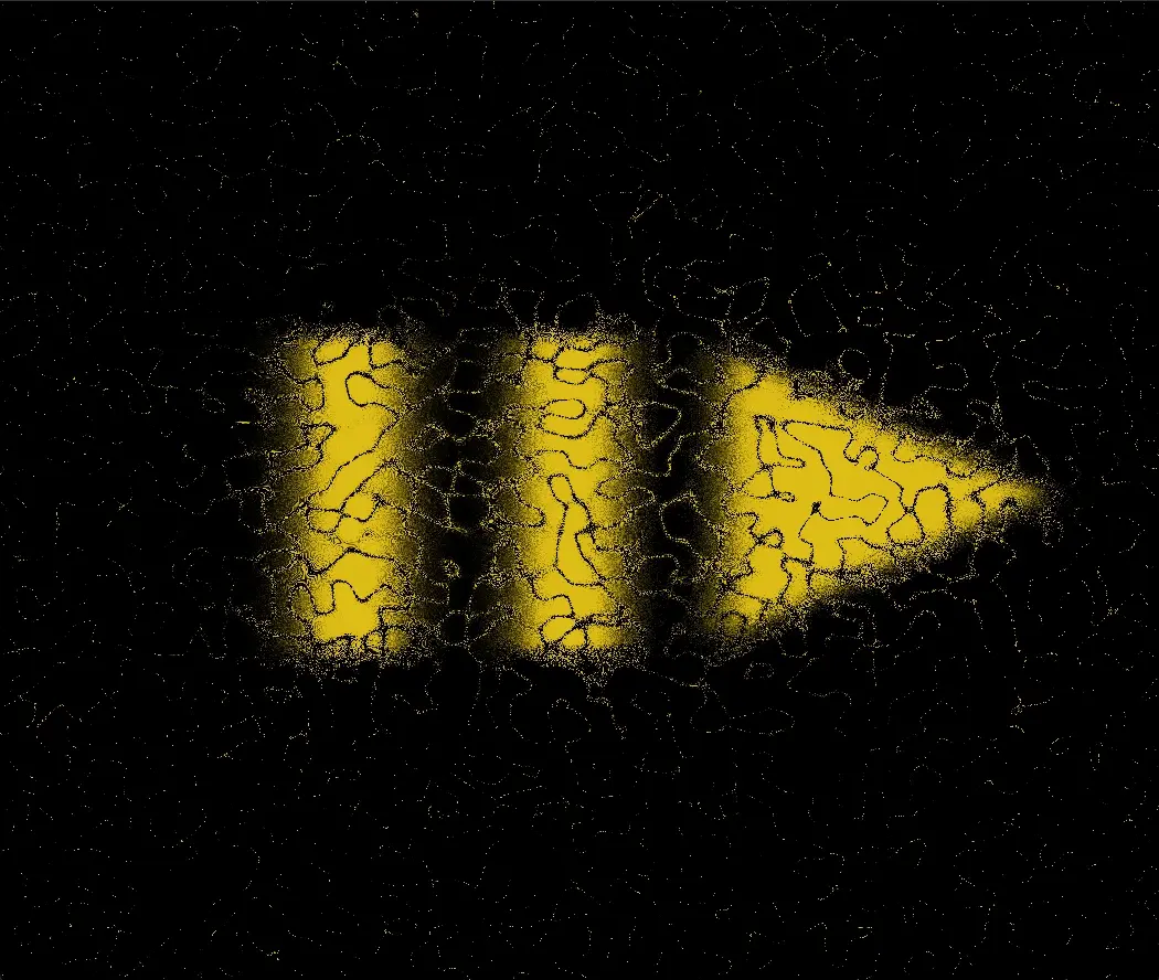 Presence: INTRO