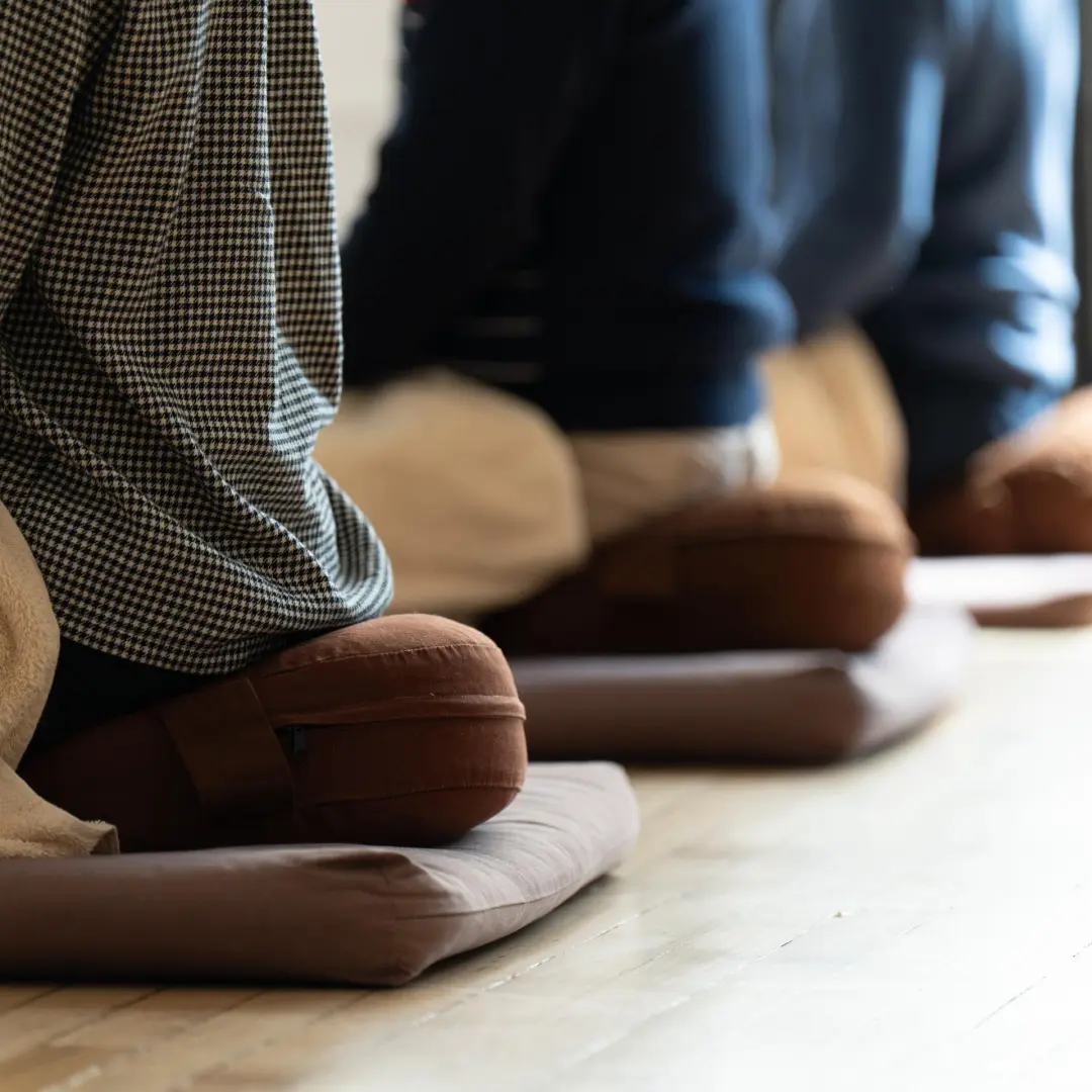Half-day Meditation Retreat
