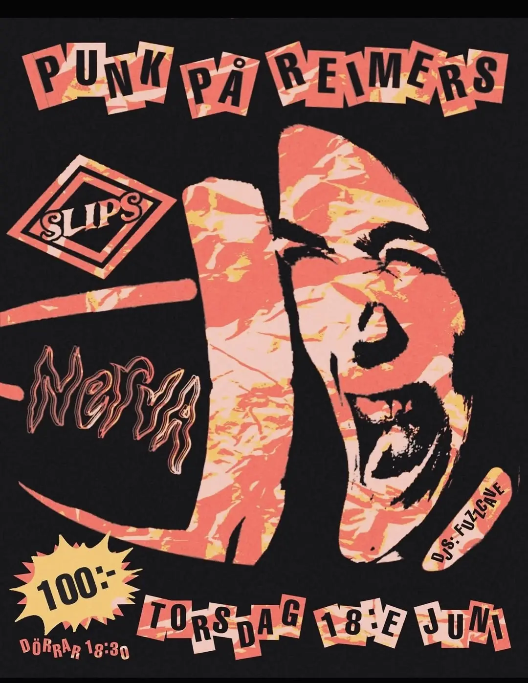 Punk på Reimers