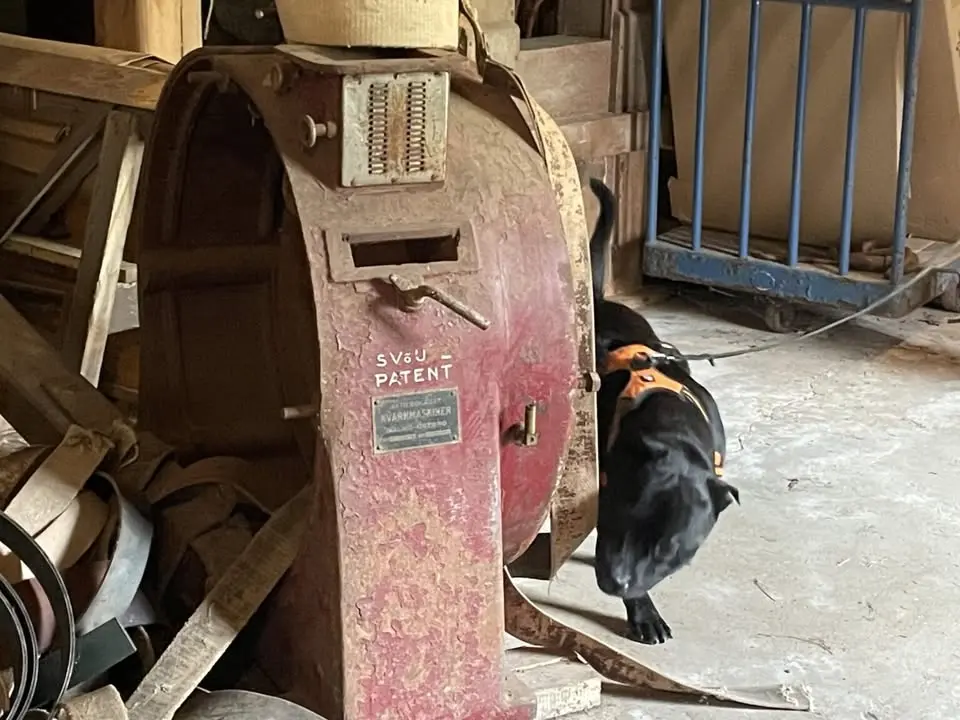 🐾 **Skattjakt på Kvarnen – Lagtävling i Nosework 27/9!** 🐾