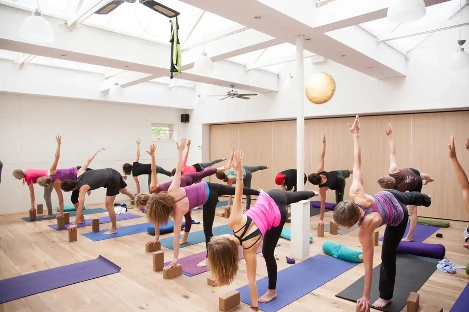 Vinyasa Teacher Training 200 Hour | Thursday program