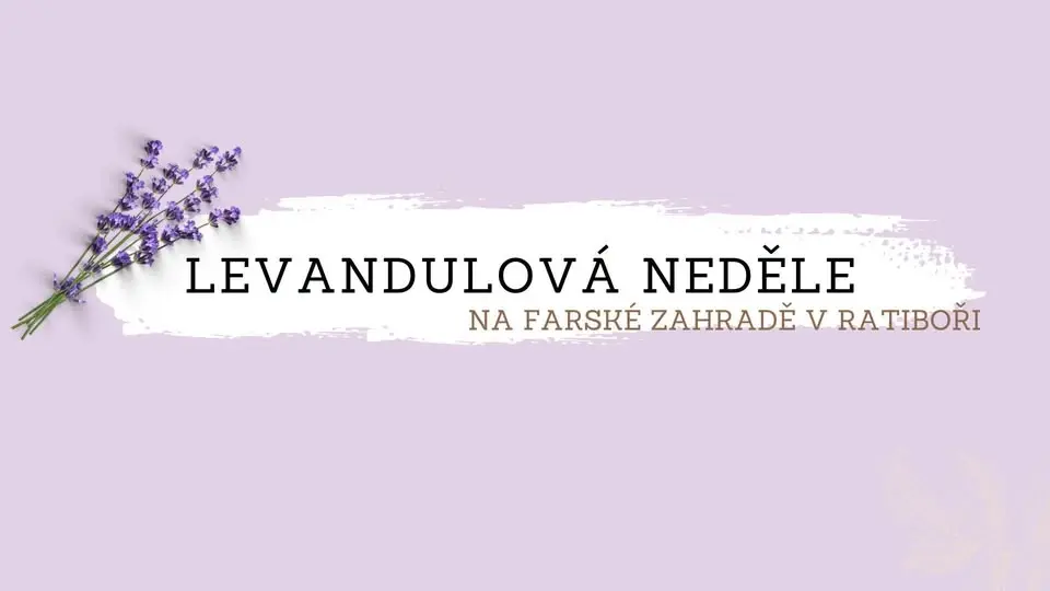 Levandulová neděle