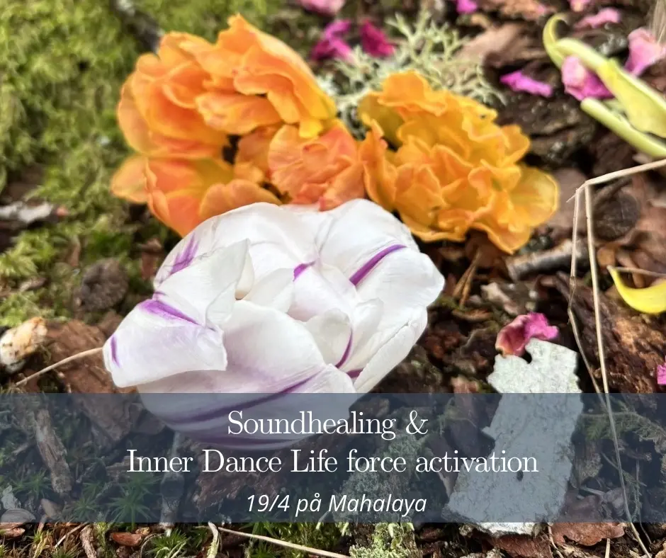 Soundhealing & Inner Dance Life Force Activation
