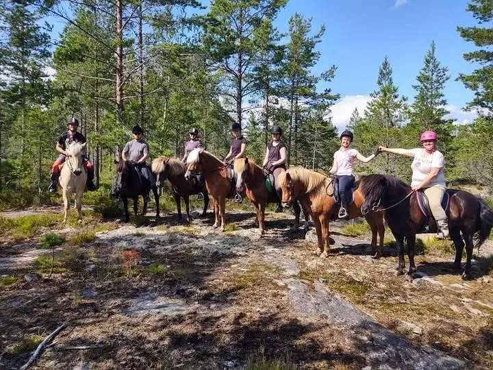 Rideleir for voksne på Stall Tajet
