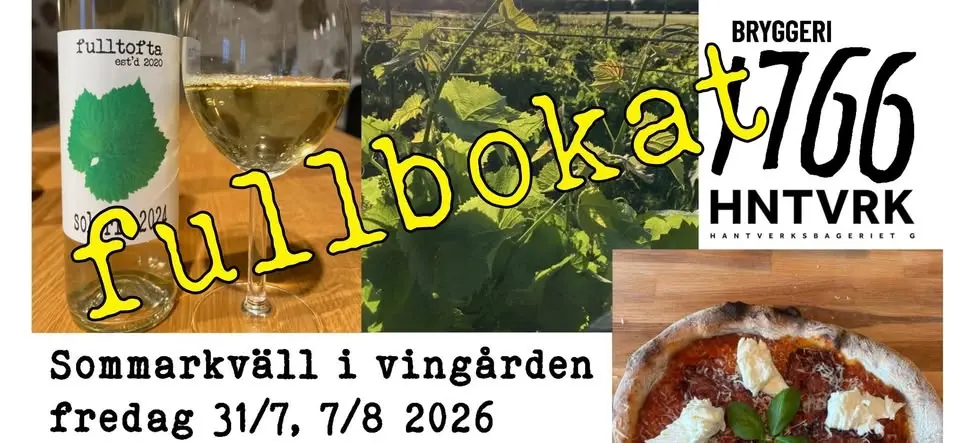 Sommarkväll i vingården