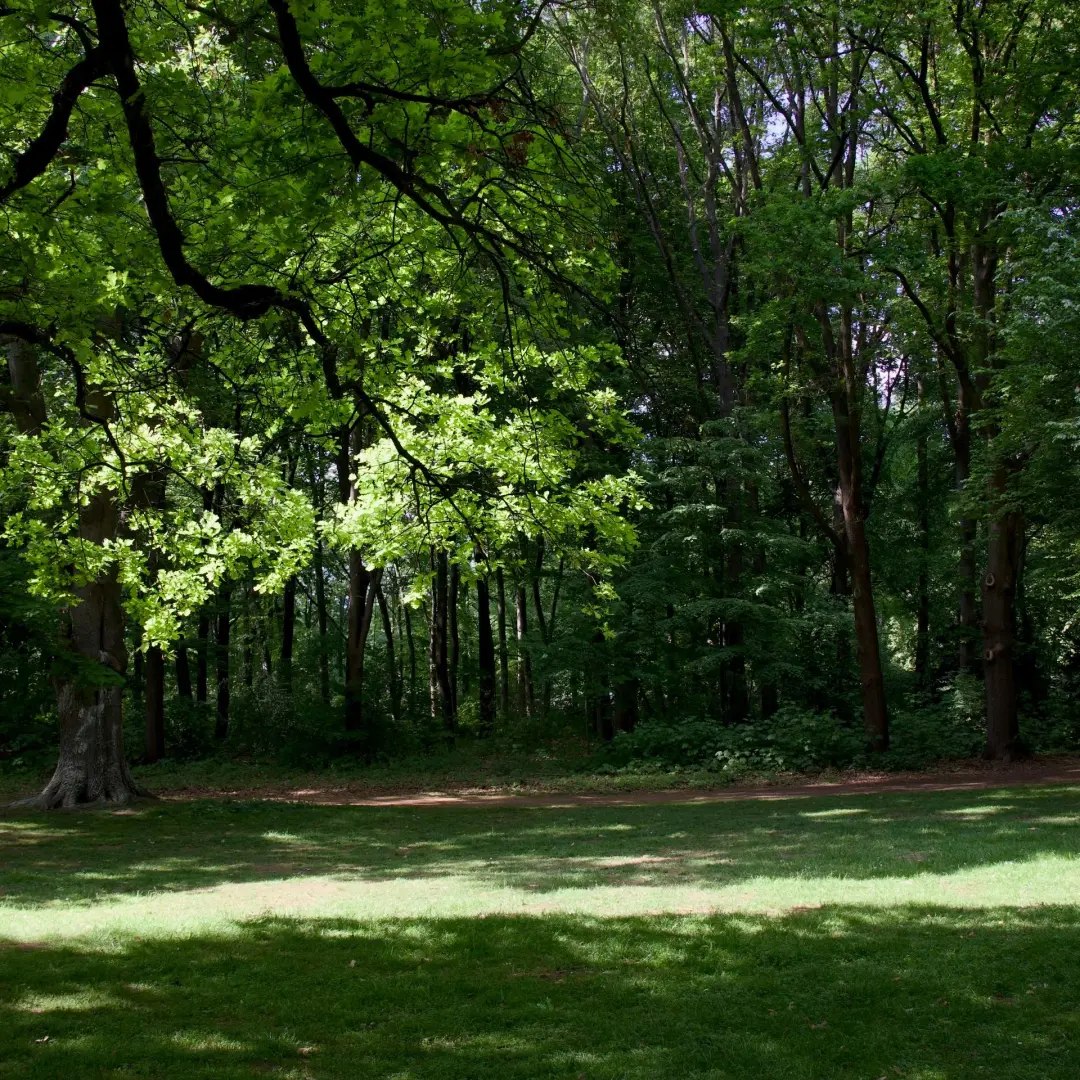 Escaping Flatland Meetup – Berlin