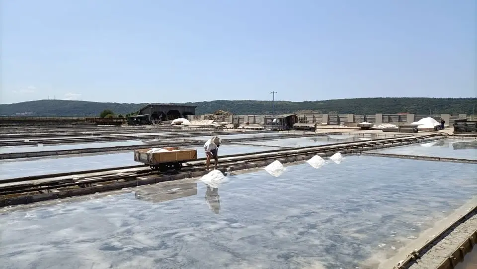 PIRANO E LE SALINE