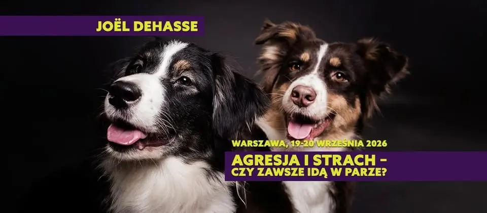 Konferencja AGRESJA I STRACH - czy zawsze idą w parze? Joël Dehasse