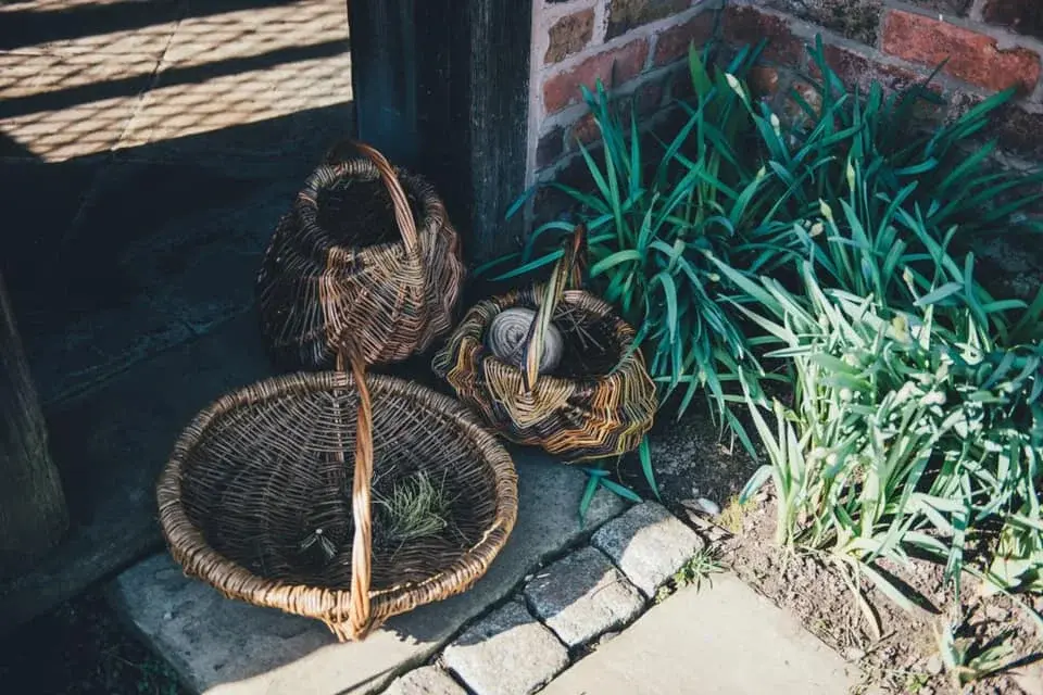 Basket Willow Weaving Workshop