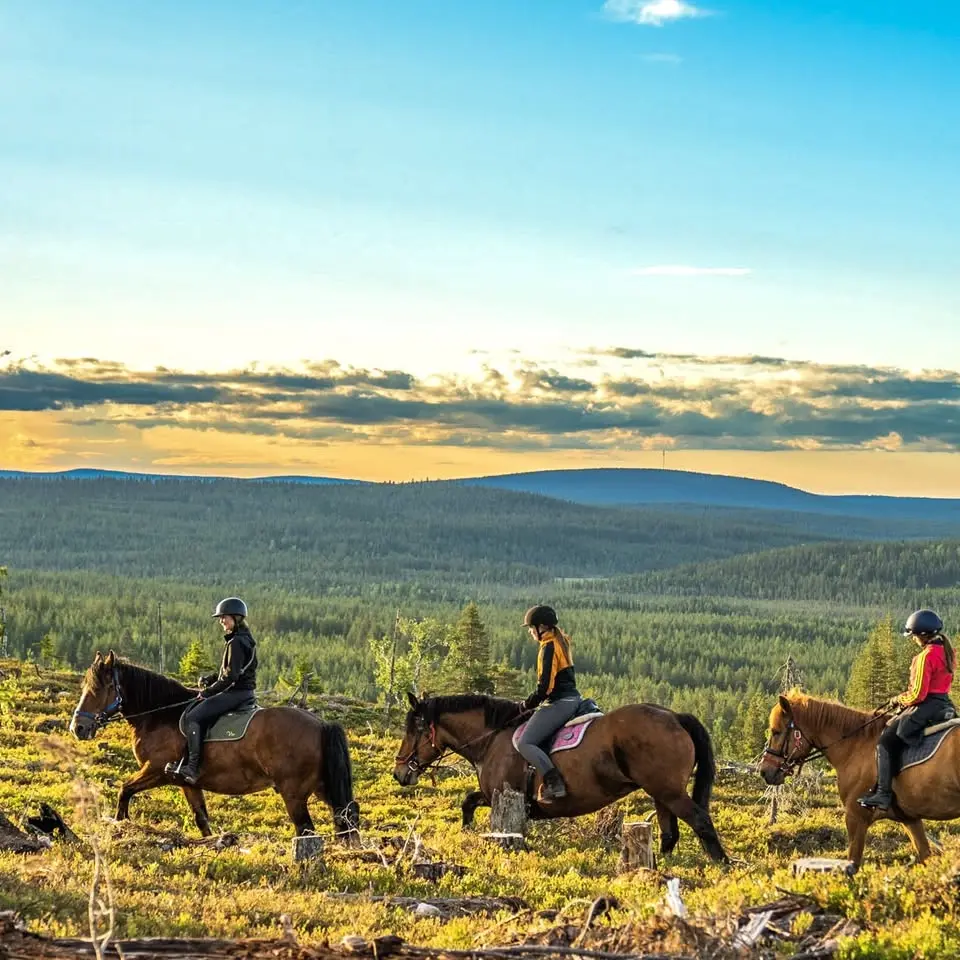 Lappish Summer adventure with horses – 7 days in Lapland
