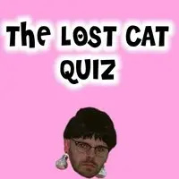The Lost Cat Quiz