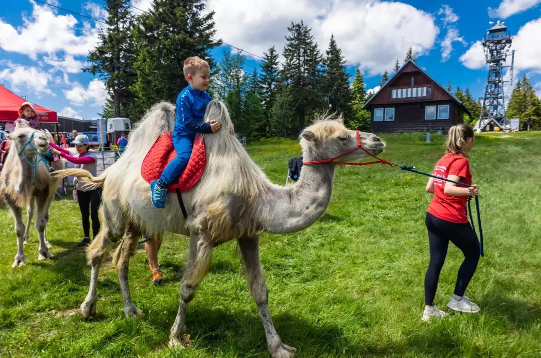 Zvířecí expedice na Černé hoře