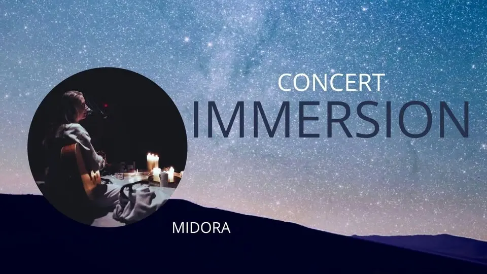 Concert Immersion