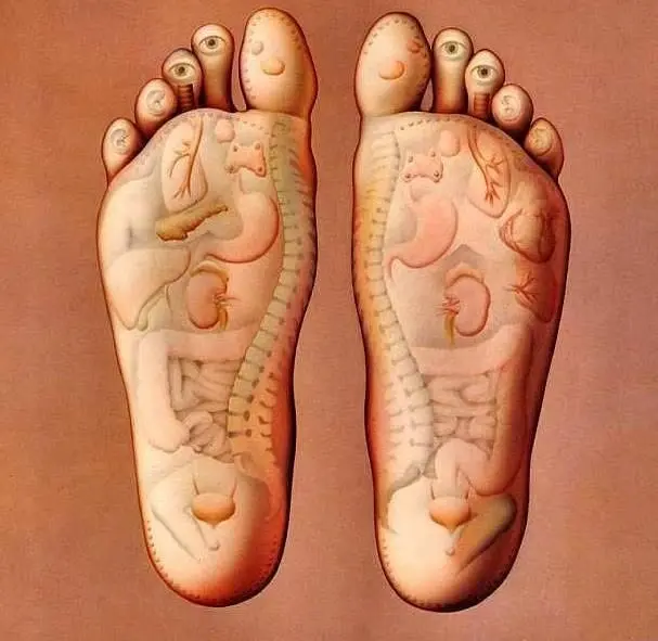Reflexní terapie – REFLEXOLOGIE