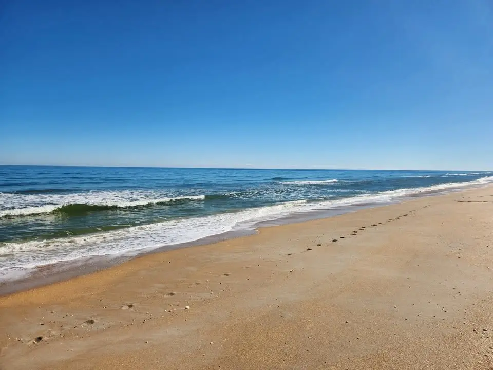 Seashore 101 (Playalinda District)