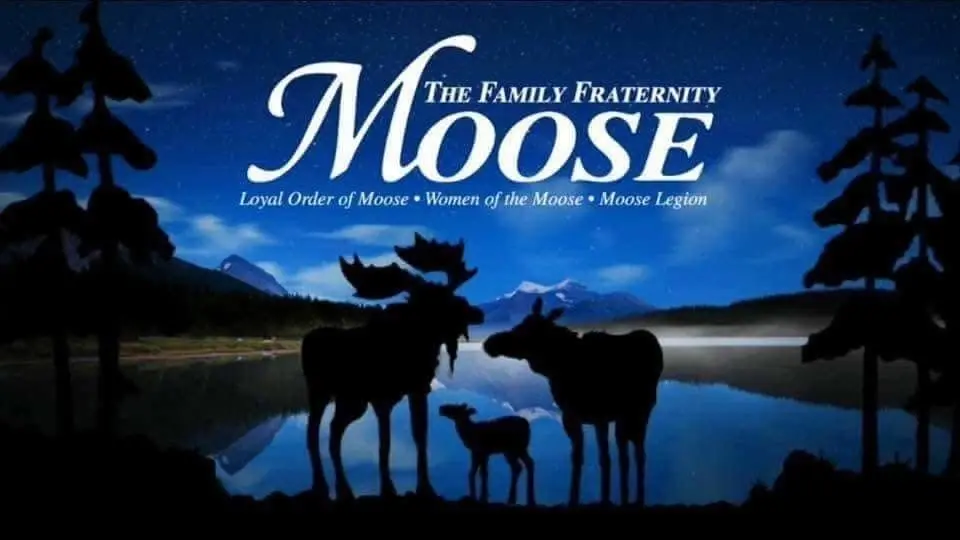 Palmer Moose Lodge 793 Yard Sale