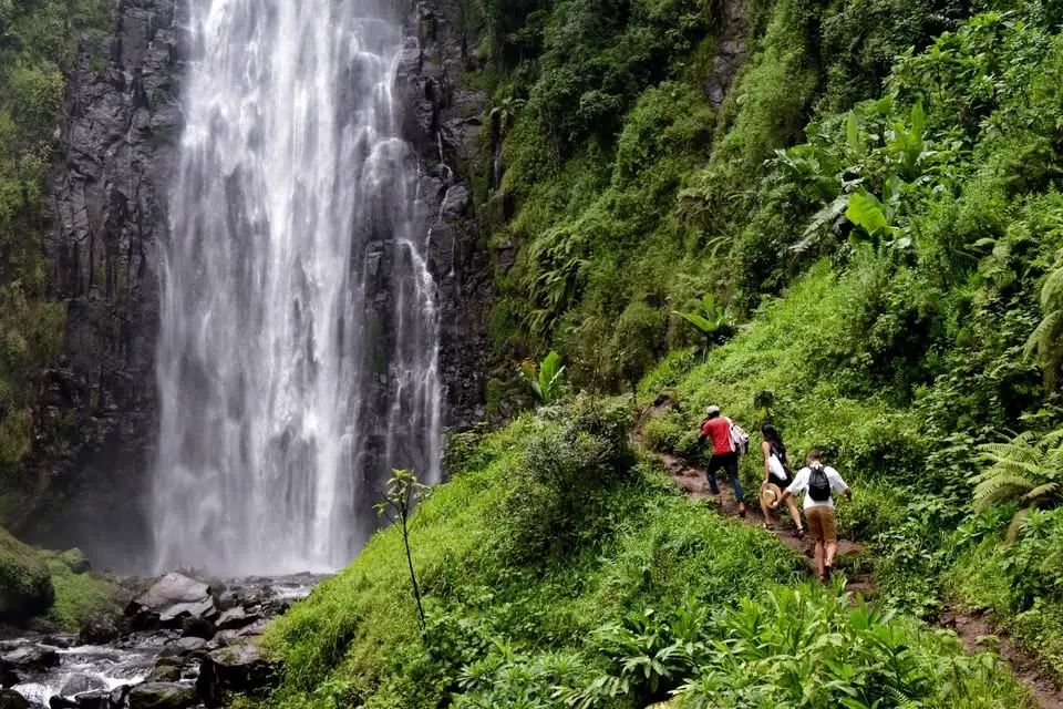 Materuni Waterfall & Chemka Hot Springs (Either Day)