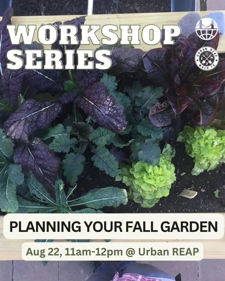 Free Workshop: Planning Your Fall Garden
