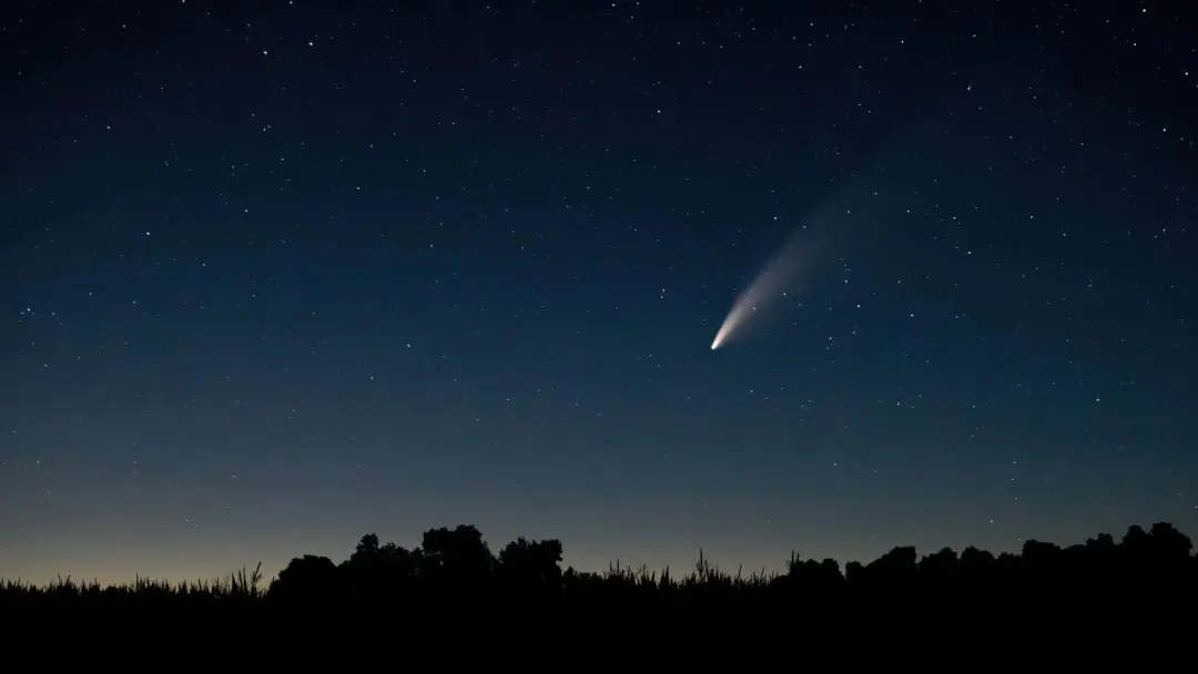 Persoid Meteor Shower Viewing at Gabis Arboretum