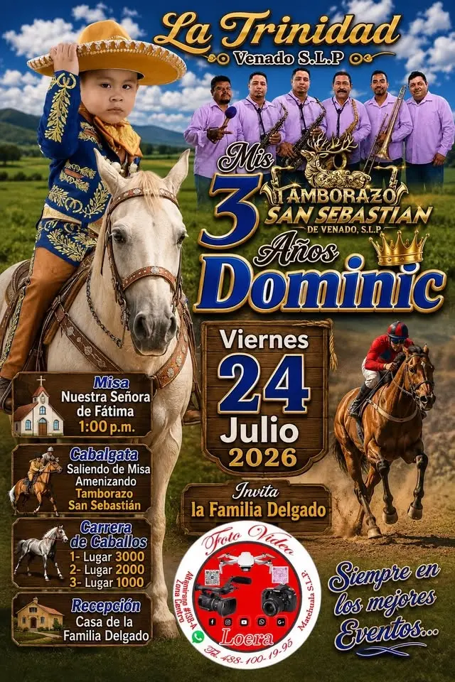 Mis 3 Dominic 