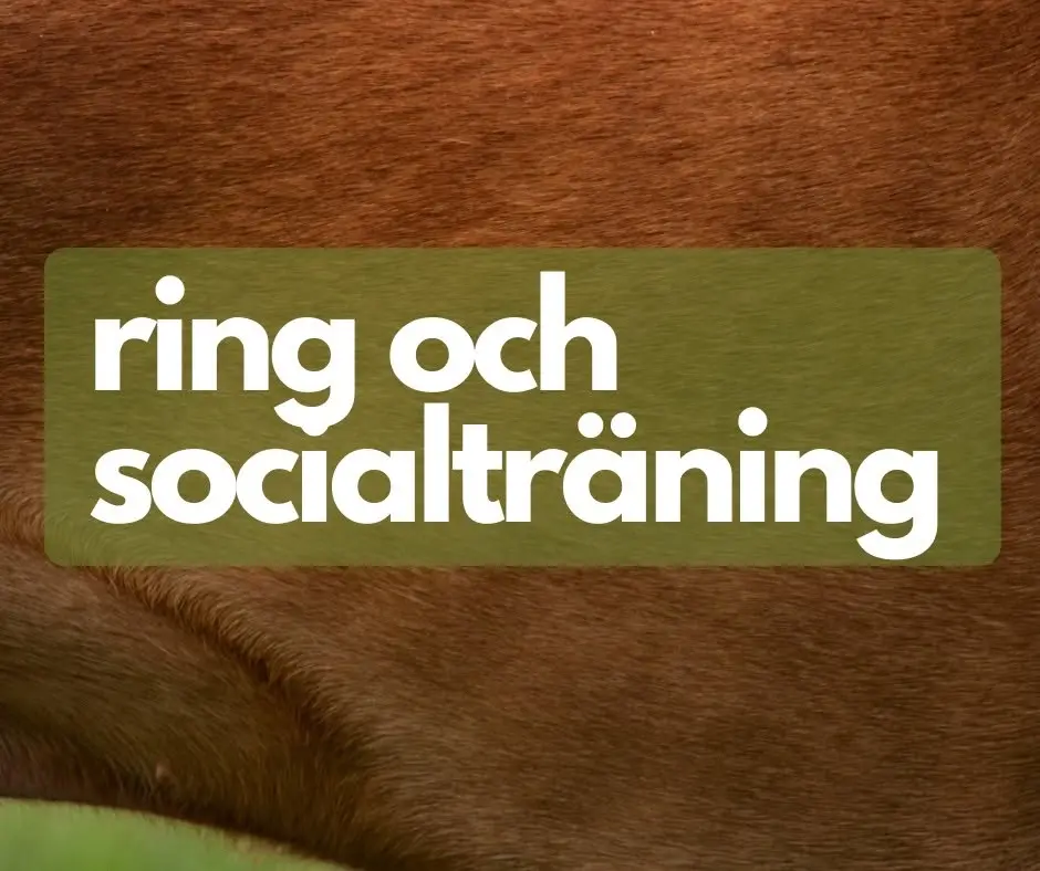 Ring och socialträning i Löberöd