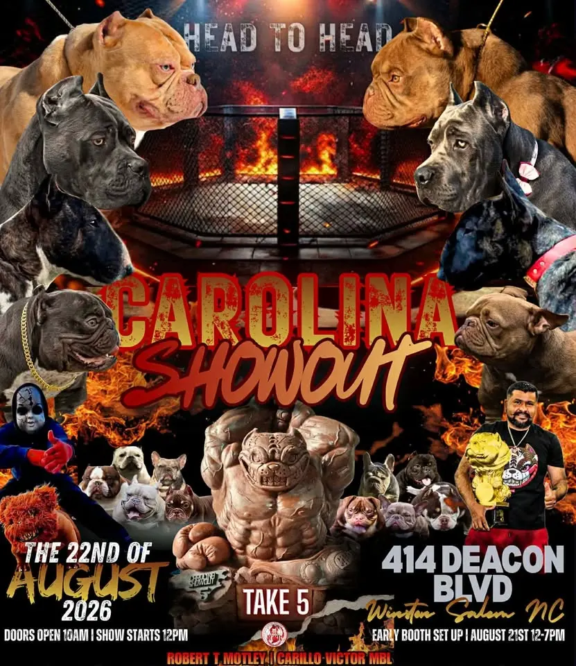 CAROLINA SHOW OUT TAKE 5