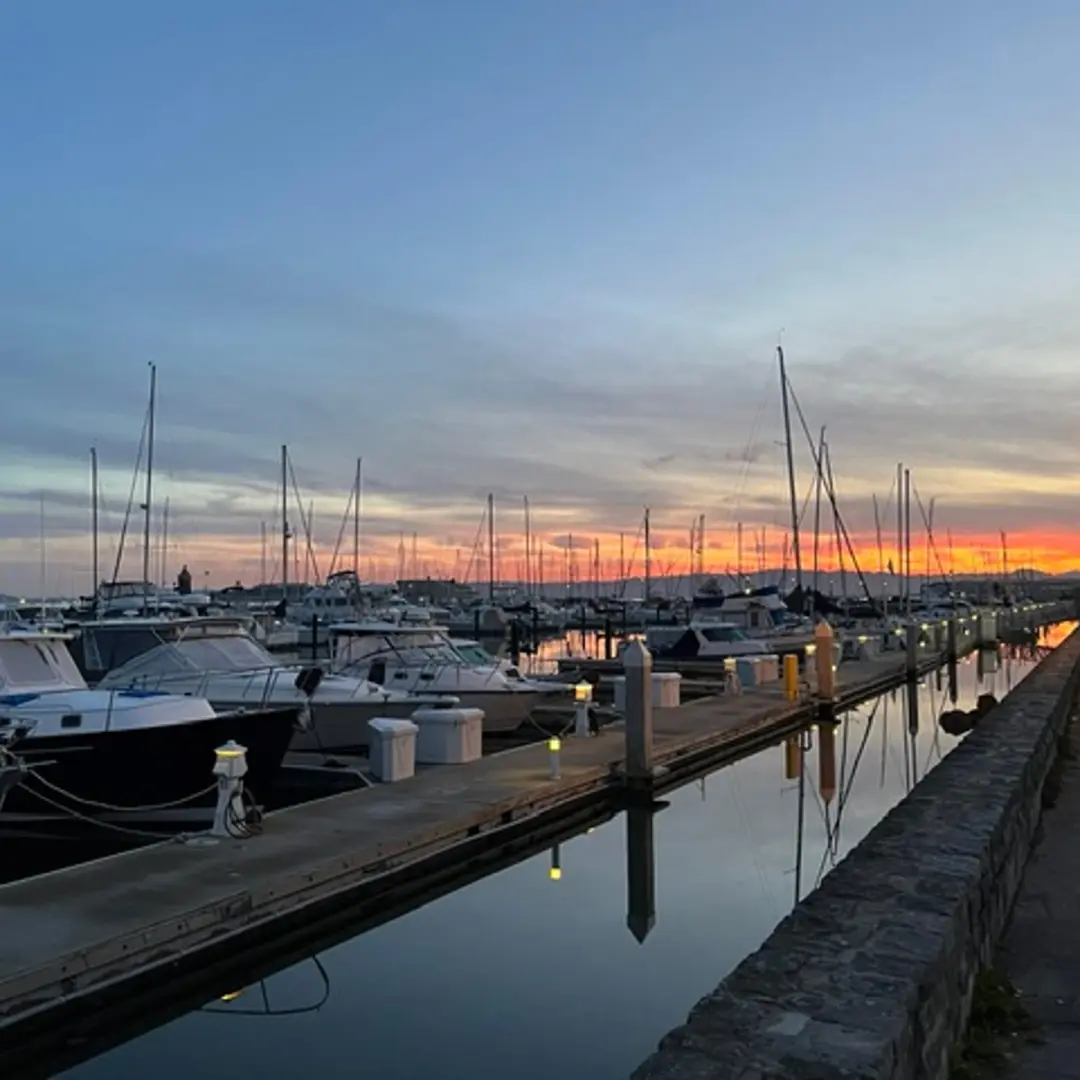 PHRA June Marina Walk & Chat