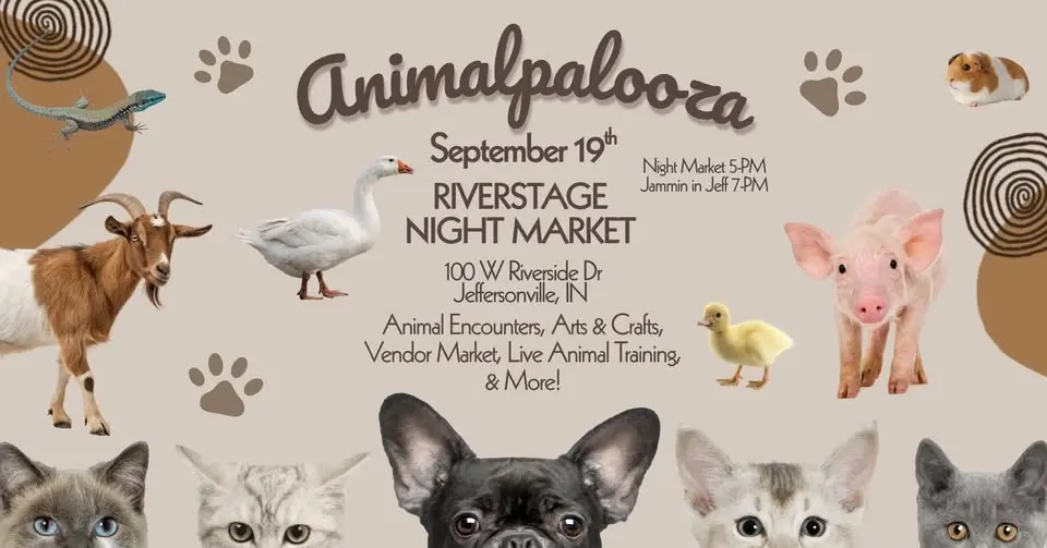 Animalpalooza Night Market