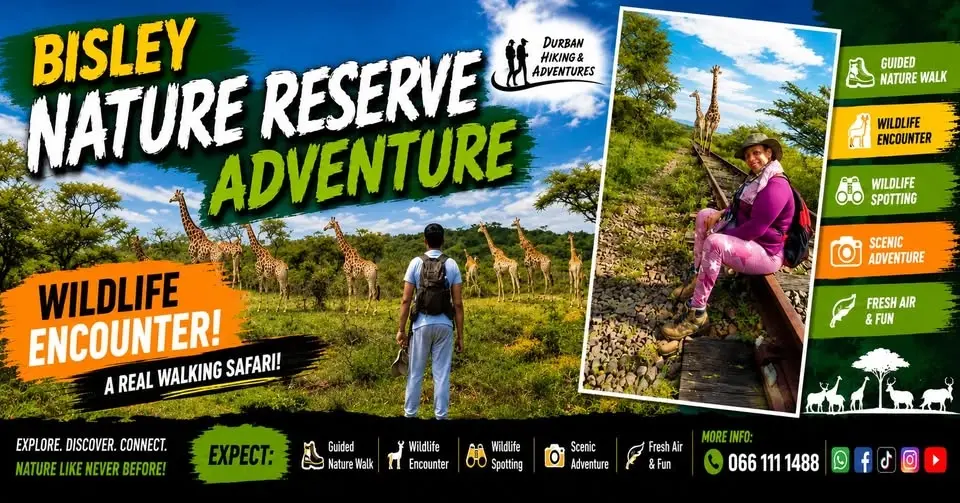 Bisley Nature Reserve Adventure - take a selfie with a giraffe!