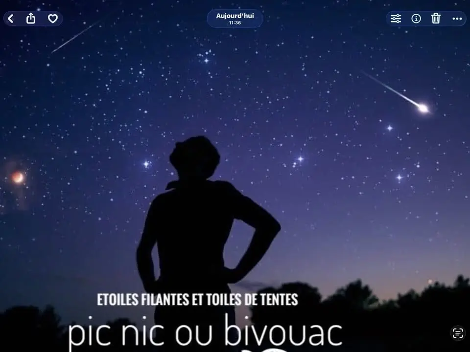Etoiles filantes 🌟✨ et toiles de tentes 🏕️ ⛺️     👈🐜🐜
