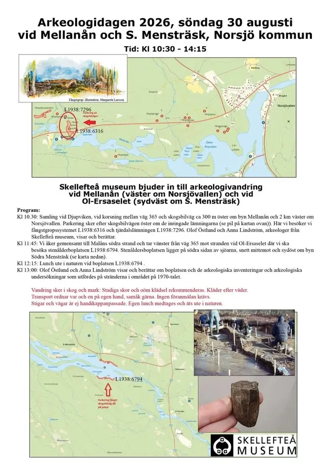 Skellefteå museum bjuder in till arkeologivandring