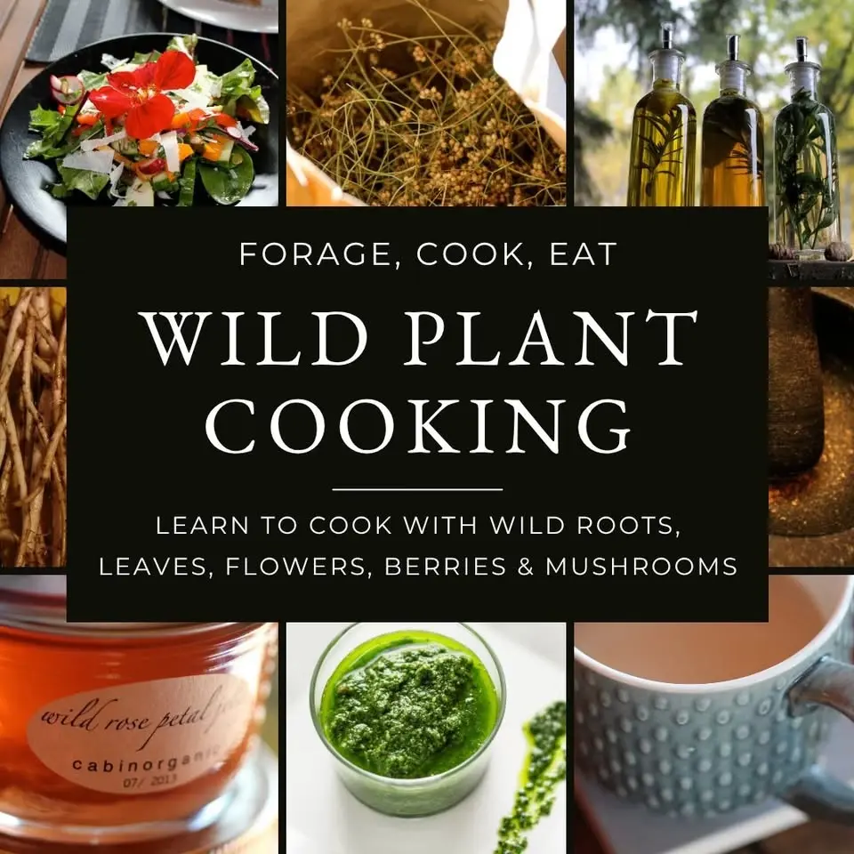 Wild Plant Cooking