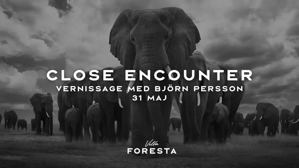 Close Encounter – Vernissage med Björn Persson 31/5 på Villa Foresta