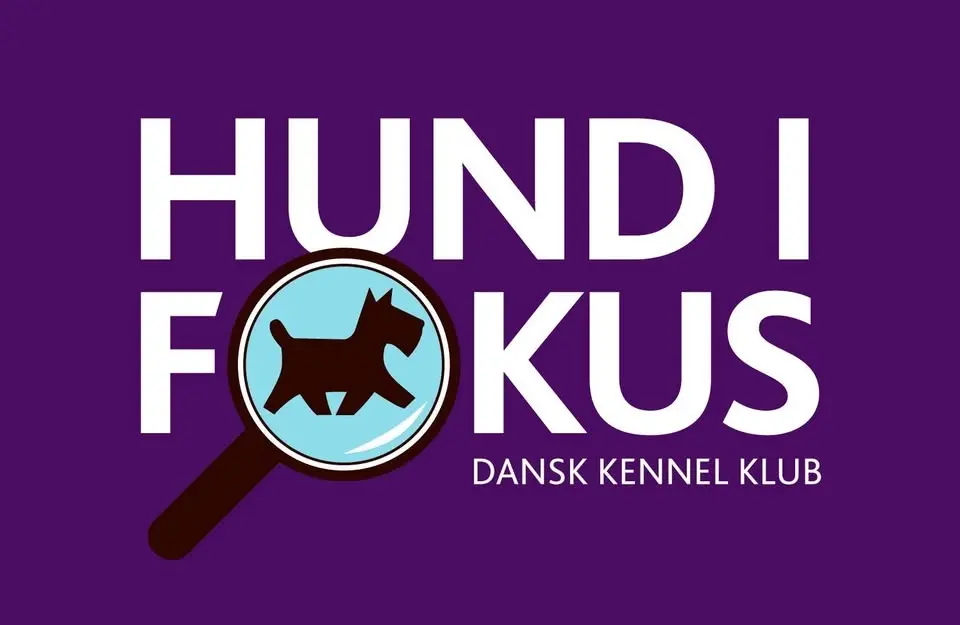 Hund i Fokus 2026
