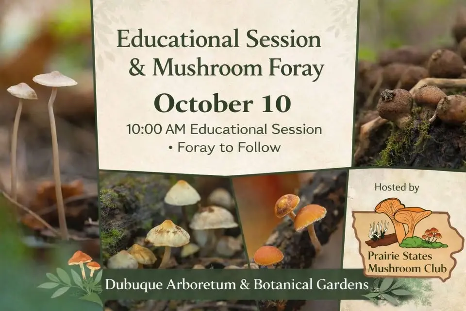 Educational Session & Mushroom Foray!
