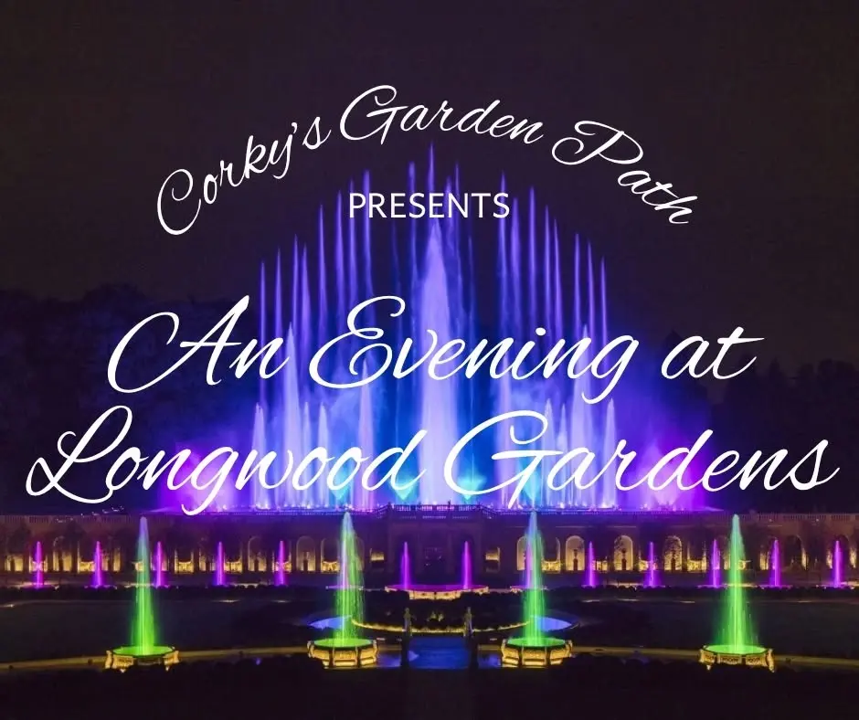Longwood Gardens Illuminated Fountains Performance Bus Trip with Corky’s Garden Path