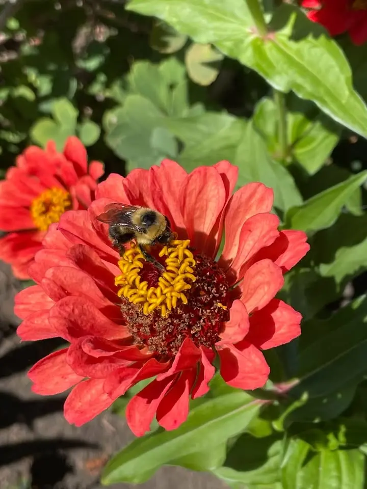 After Hours: The Honey Hideaway
