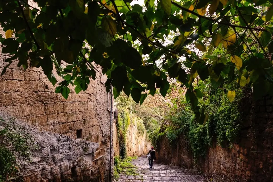Tra Paradisiello e Moiariello: passeggiata poetica verso il Bosco di Capodimonte