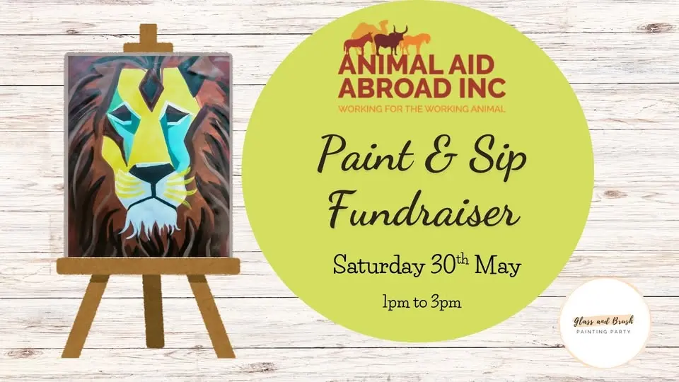 Animal Aid Abroad Fundraiser
