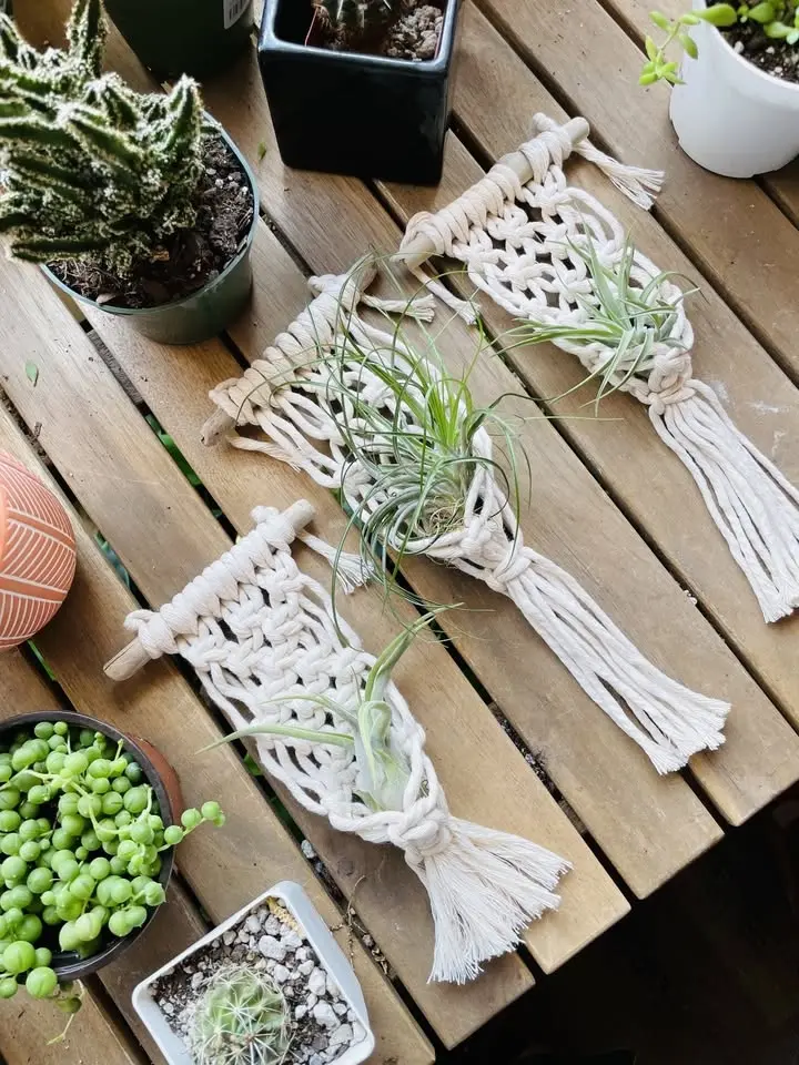 Crafts & Coffee: Mini Air Plant Hangers