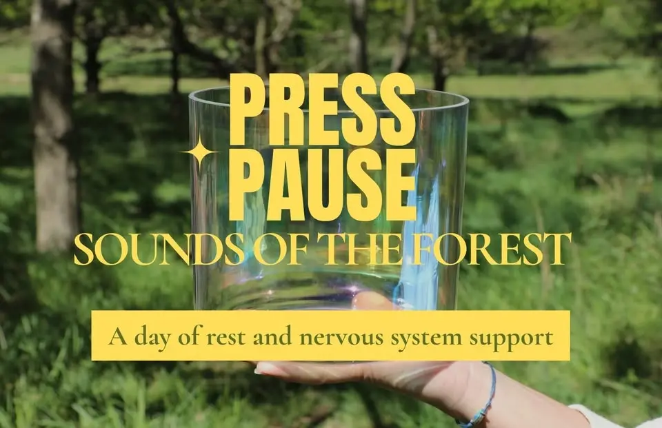 Sounds of the Forest - Mini Retreat 