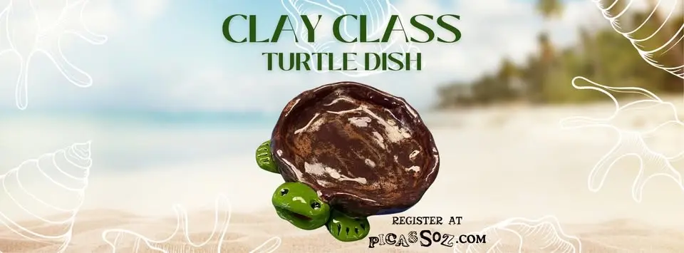 Clay Class - Turtle Dish