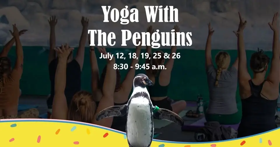 Yoga With The Penguins