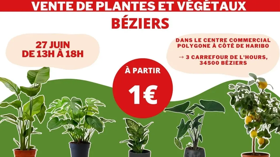 BÉZIERS - Végétaux et Plantes à partir de 1€ by Plantes Addict