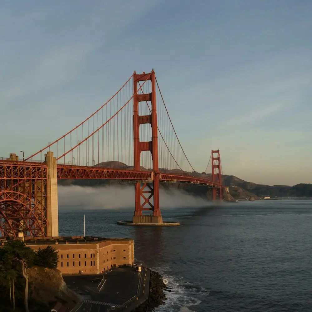 BlueDot SF Social